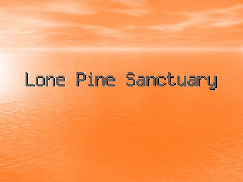 Lone Pine Sanctuary (1).jpg